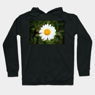 One White Daisy Hoodie